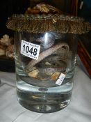 Taxidermy - snakes in a jar.