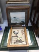 A quantity of framed and glazed prints