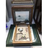 A quantity of framed and glazed prints