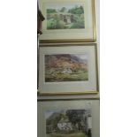 3 framed and glazed limited edition prints by Judy Boyes.