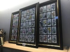 3 framed and glazed Will's cigarette displays (alpine flowers and roses) & 1 framed and glazed