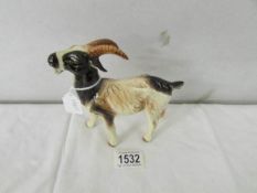 A Goebel nanny goat.