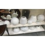 A large quantity of glass lamp shades