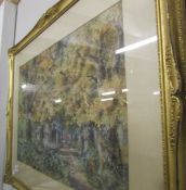 A framed and glazed watercolour forest scene, signed but indistinct.