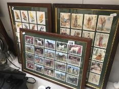 3 framed and glazed cigarette card displays, Wills dogs players,