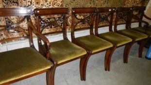 A good set of 6 chairs comprising 2 carvers and 4 diners.