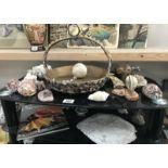 A quantity of seashells and coral (2 shelves)