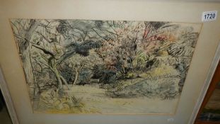 A framed and glazed woodland scene signed Rupert Shepherd, 1967.