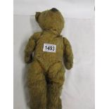 An old straw filled teddy bear in need of some tlc.