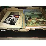 A box of assorted art books