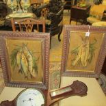 A pair of framed Victorian studies of fish in embossed card.