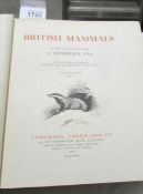 British Mammals by A. Thorburn, FZS.