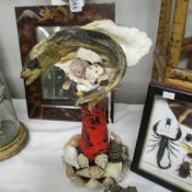 Taxidermy - fish on a shell decorated stand.