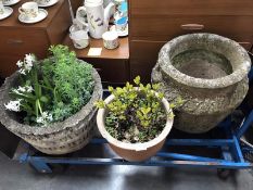 3 large concrete planters