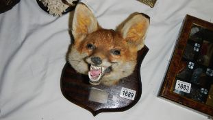 A fox head on plaque with inscription 'Burton Hunt, Linwood, 18.2.18'.
