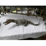 Taxidermy - a crocodile.