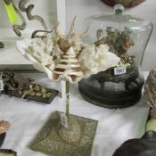 Taxidermy - fish in sea shells on stand.