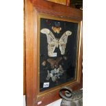 Taxidermy - oak framed butterflies, lizards and beetles.