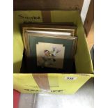 A box of framed and glazed pictures of birds