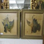 A pair of Victorian gilt framed bird studies in embossed card.