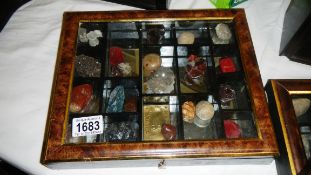 A case of various minerals.