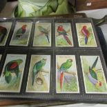 An album of cigarette cards including Player's and Ogden's.