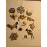 A mixed lot of brooches including parrot and butterfly.