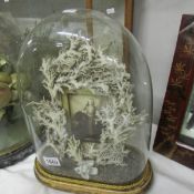 A coral photo frame under glass dome.