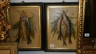 A pair of framed Victorian studies of fish in embossed card.