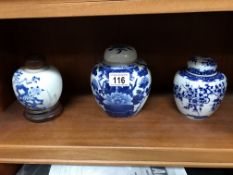 3 blue & white ginger jars