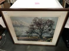 A framed and glazed print of a tree in an autumnal country side