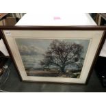 A framed and glazed print of a tree in an autumnal country side