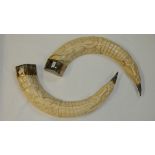 A pair of antique carved ivory tusks - with silver metal on top and bottom and carved with
