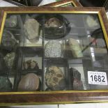 A case of various minerals.