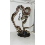 Taxidermy - snake.