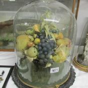 A Victorian fruit arrangement under glass dome.