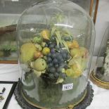 A Victorian fruit arrangement under glass dome.