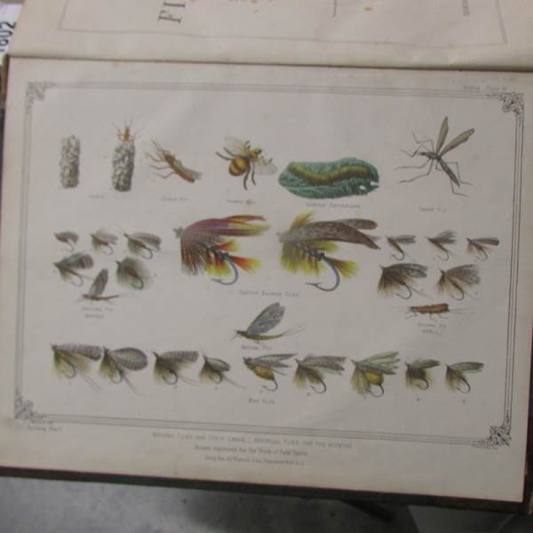 2 volumes 'The book of Field Sports and Library of Veterinary Knowledge' edited by Henry Downes - Image 2 of 6
