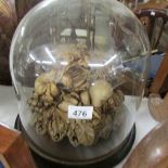 A Victorian flower and fruit arrangement under glass dome.