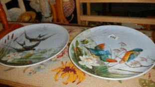 A pair of hand painted bird decorated wall plates.