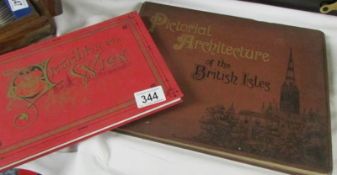 'Pictorial Architecture of the British Isles' and one other book.