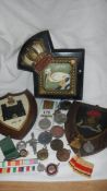 A quantity of plaques, medals, badges etc.