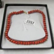 A coral necklace with 60 barrel shaped beads.