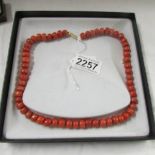 A coral necklace with 60 barrel shaped beads.