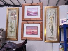 4 framed and glazed pictures: 2 of flowers and 2 African landscapes