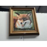 A framed oil on board painting a Fox