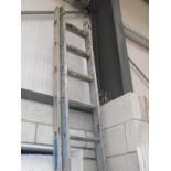 A double extension aluminium ladder