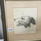 A framed study of a dogs head (missing glass).