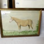 A framed and glazed watercolour of a horse.