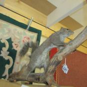 Taxidermy - a squirrel on a log.